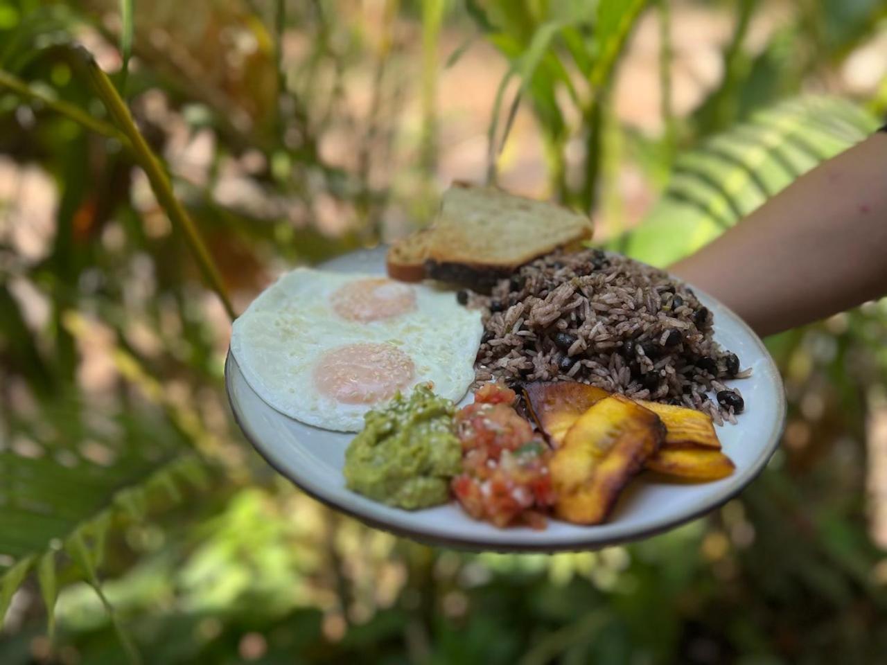Dream Surf House Santa Teresa Hostel Playa Hermosa Cobano Εξωτερικό φωτογραφία