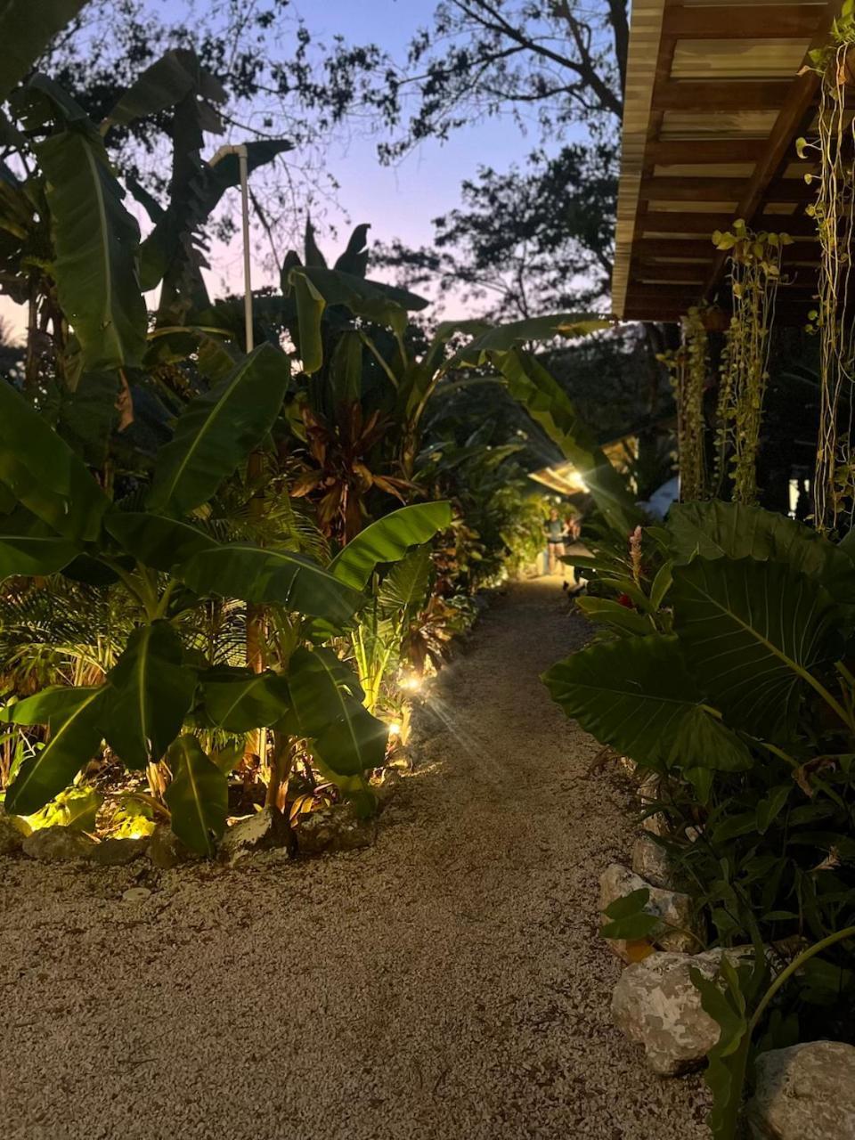 Dream Surf House Santa Teresa Hostel Playa Hermosa Cobano Εξωτερικό φωτογραφία