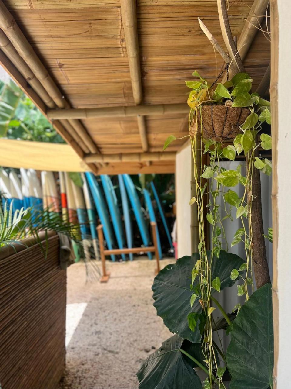 Dream Surf House Santa Teresa Hostel Playa Hermosa Cobano Εξωτερικό φωτογραφία