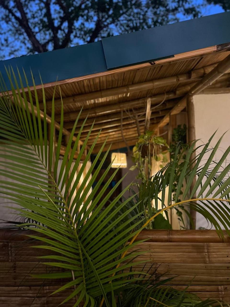 Dream Surf House Santa Teresa Hostel Playa Hermosa Cobano Εξωτερικό φωτογραφία