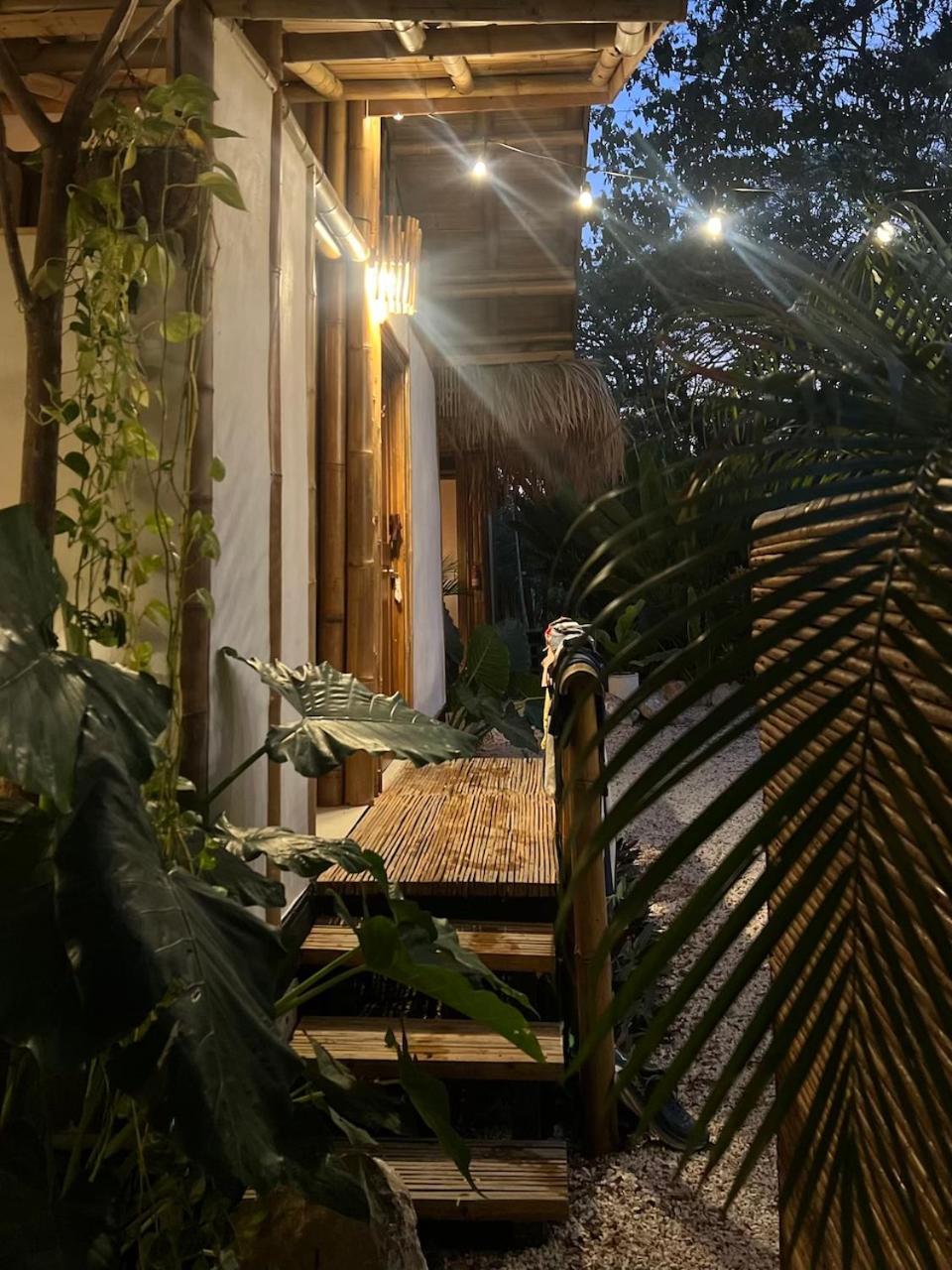 Dream Surf House Santa Teresa Hostel Playa Hermosa Cobano Εξωτερικό φωτογραφία