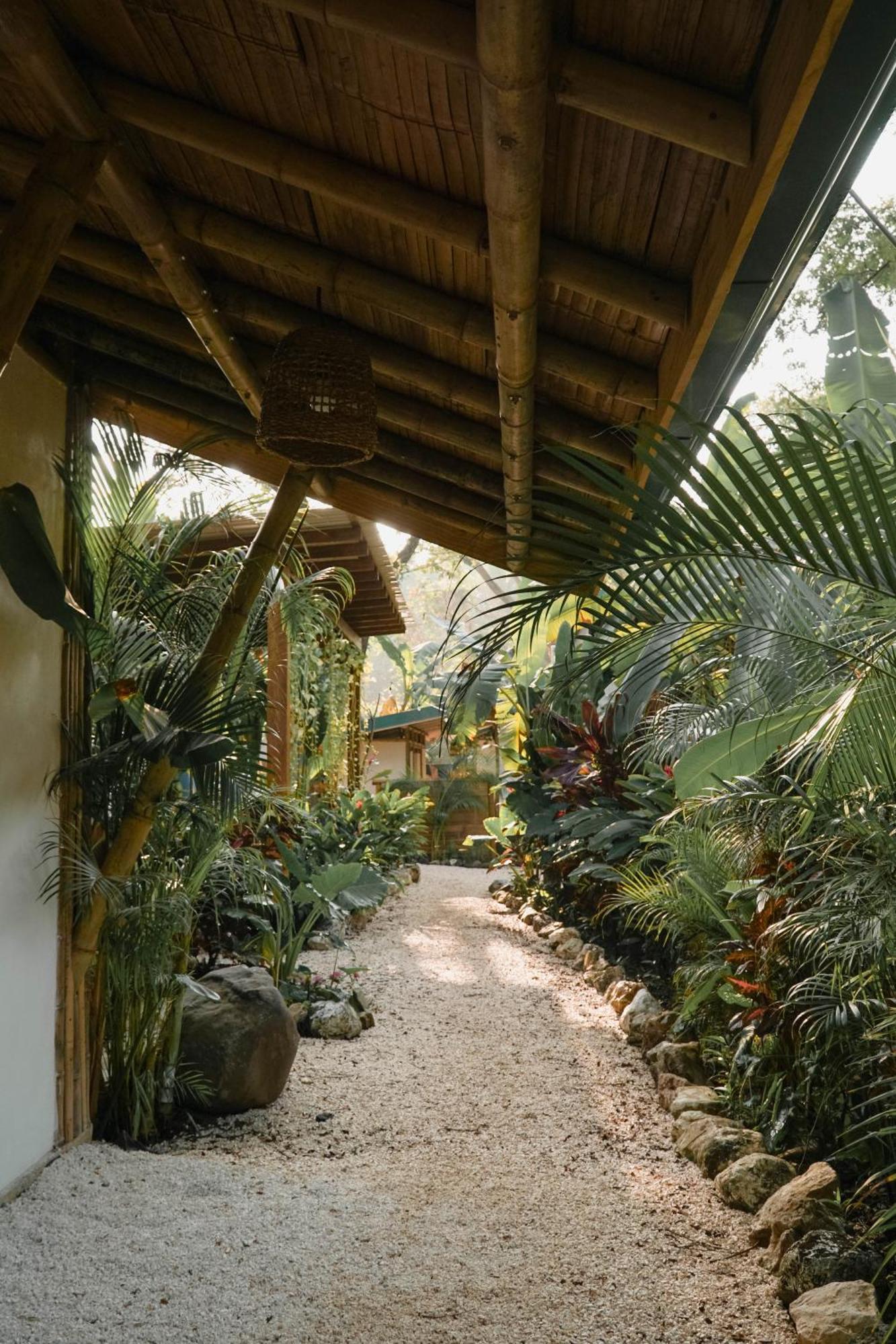 Dream Surf House Santa Teresa Hostel Playa Hermosa Cobano Εξωτερικό φωτογραφία