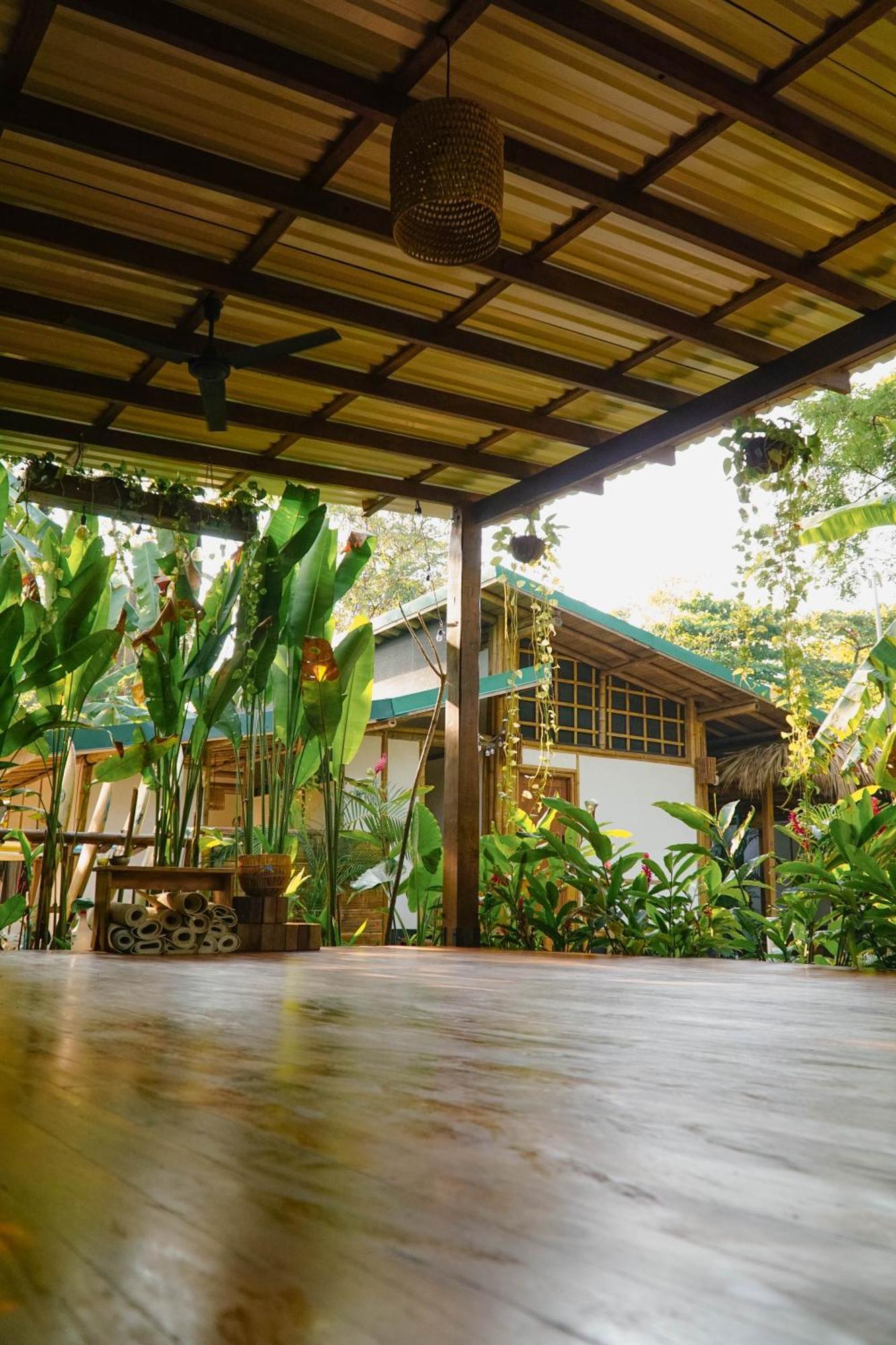 Dream Surf House Santa Teresa Hostel Playa Hermosa Cobano Εξωτερικό φωτογραφία