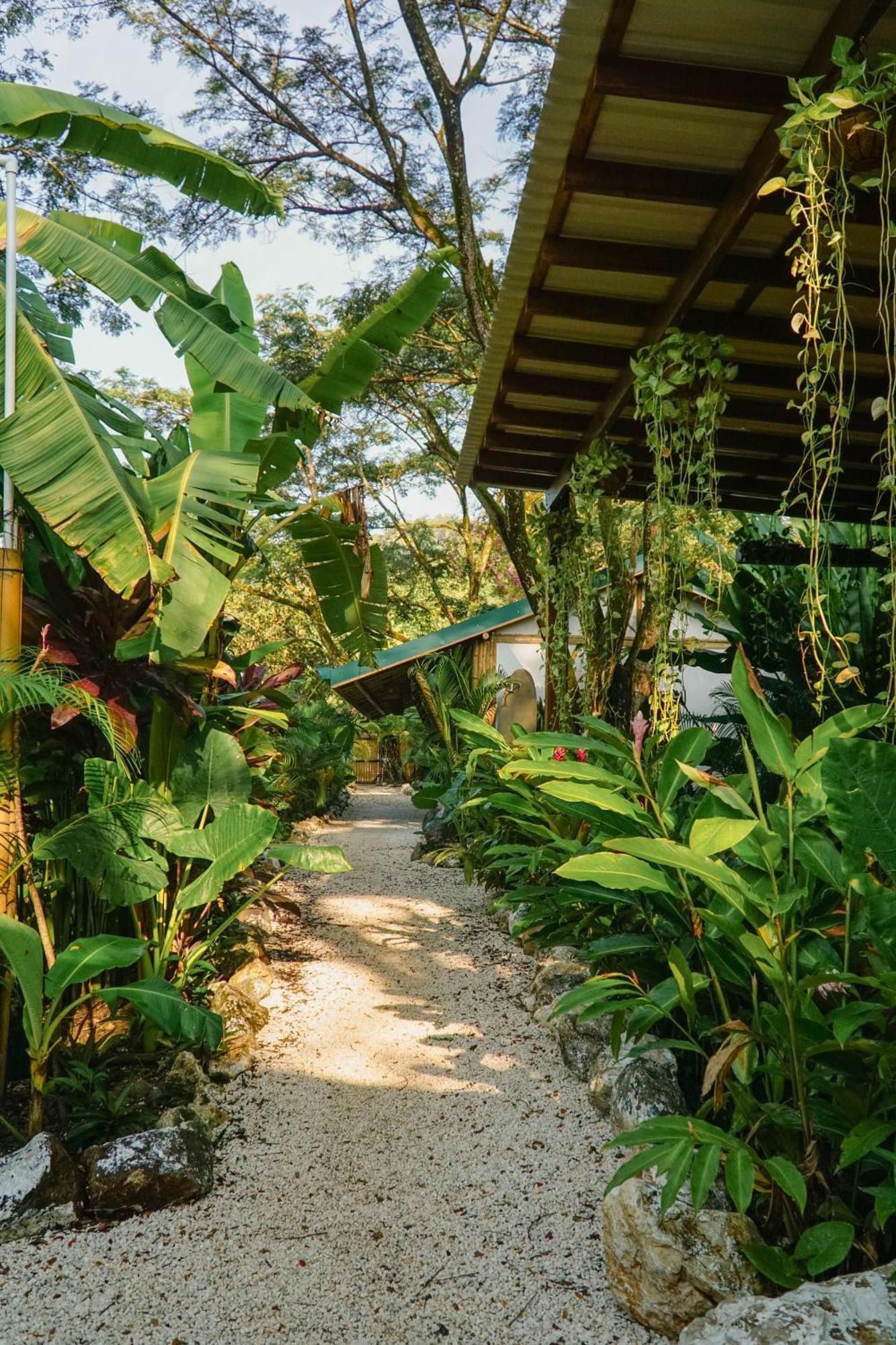 Dream Surf House Santa Teresa Hostel Playa Hermosa Cobano Εξωτερικό φωτογραφία