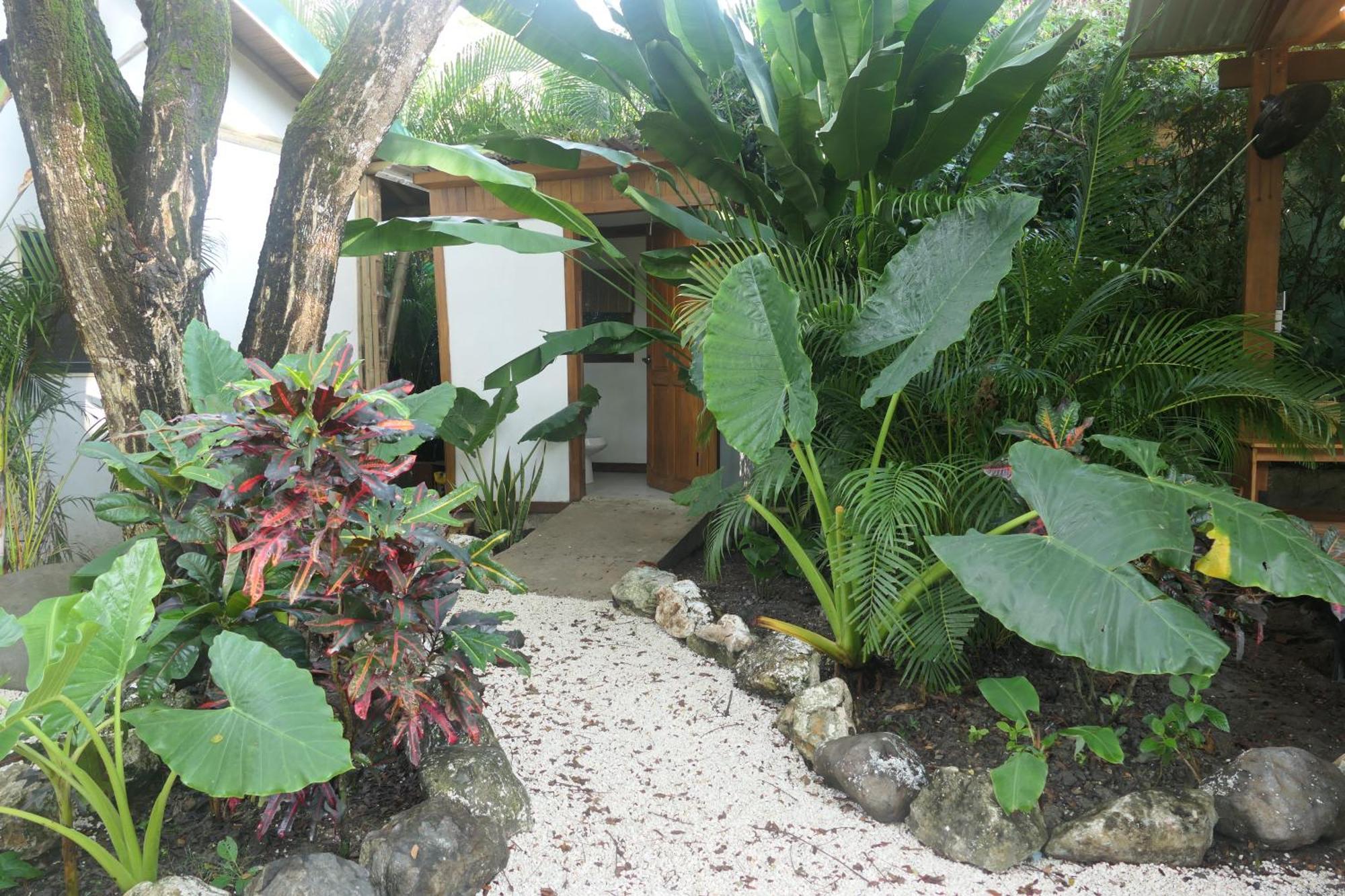 Dream Surf House Santa Teresa Hostel Playa Hermosa Cobano Εξωτερικό φωτογραφία