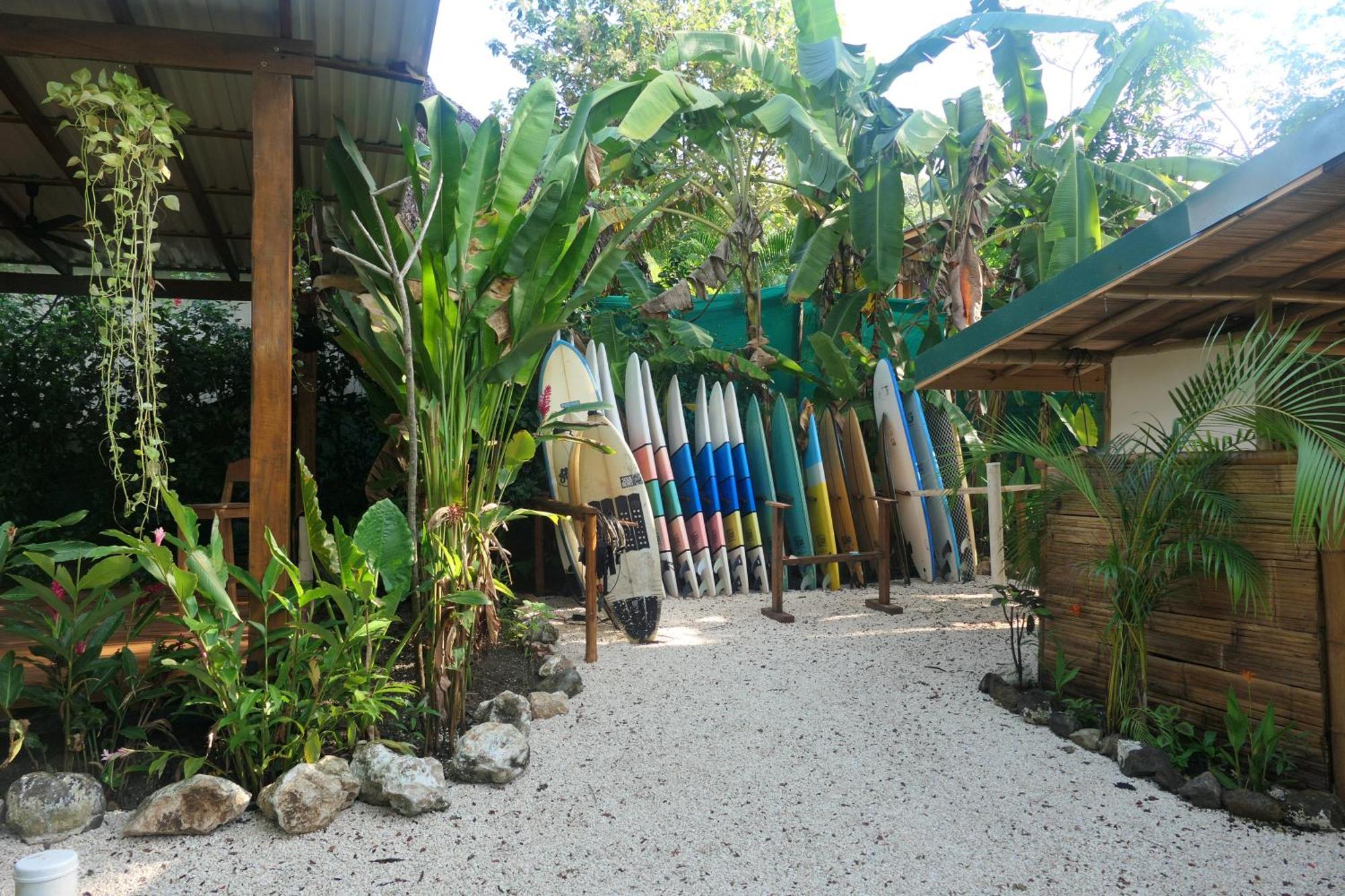 Dream Surf House Santa Teresa Hostel Playa Hermosa Cobano Εξωτερικό φωτογραφία